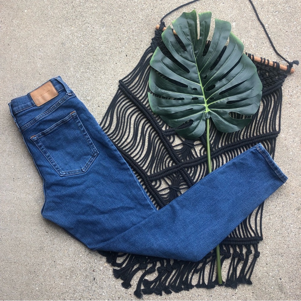 Everlane High Rise Jeans Size 27